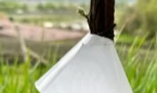 Crafting Captivating Headlines: Your awesome post title goes here cone-barrier